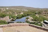 Mandore