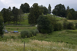 Inovce