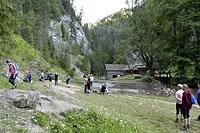 Kvacany