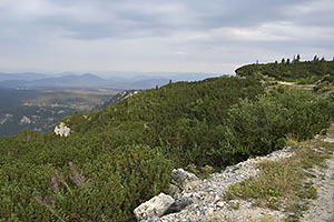 Čierna Hora: Nacionalni Park Durmitor, 20.8.2021 Cierna Hora