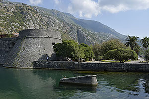 Kotor