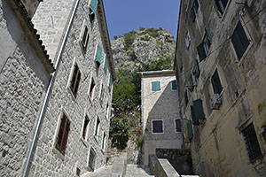 Kotor