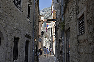 Kotor