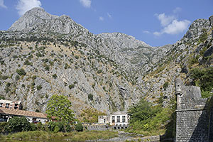 Kotor