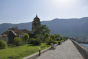 Kotor