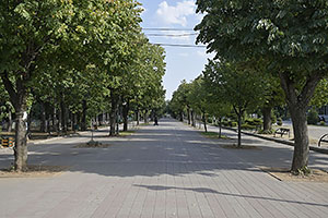 Bitola