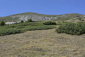 Tetovo