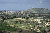 Gozo