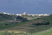 Gozo