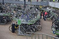 Rotterdam