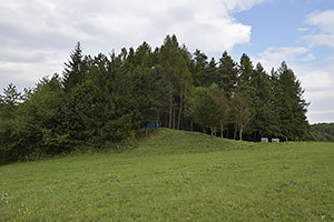 Podhorod