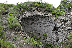 Podhorod