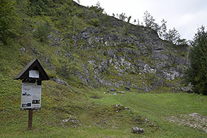 Podhorod