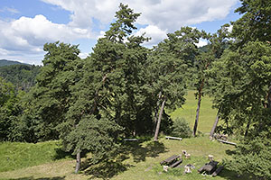 Podzamcok