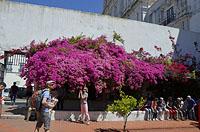 Lisabon: Igreja de Sao Vicente de Fora, 11.5.2019 Lisabon