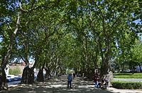 Porto: Jardim da Cordoaria, Campo dos Mártires da Pátria, 13.5.2019 Porto