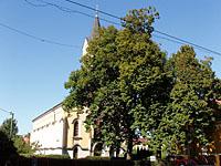 Puchov
