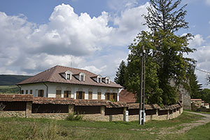 Criț