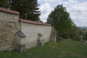 Criț
