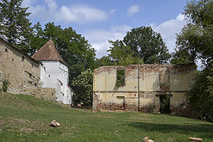 Criț