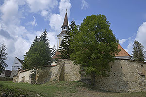 Criț