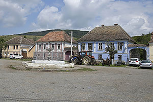 Roadeș