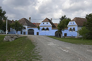 Roadeș