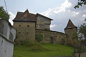 Roadeș