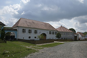 Roadeș