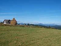 Bukovina