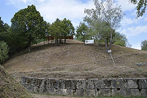 Costești