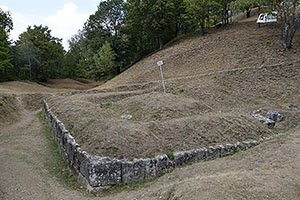 Costești