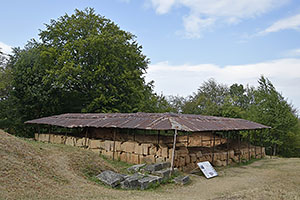 Costești