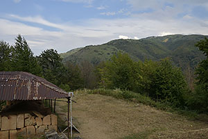 Costești