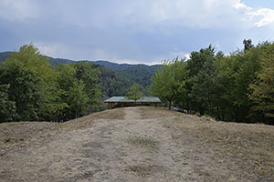 Costești