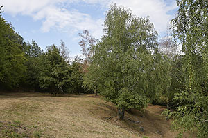 Costești