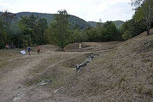 Costești