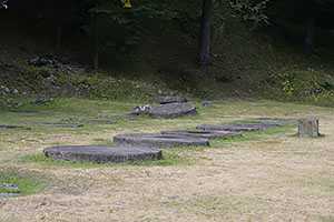 Sarmizegetusa Regia