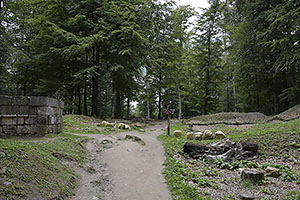 Sarmizegetusa Regia