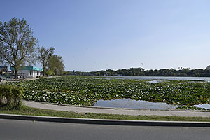 Mangalia