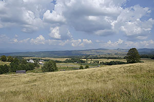 Budești