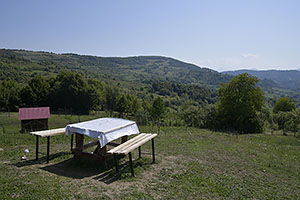 Poienile Izei
