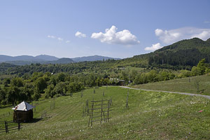 Poienile Izei