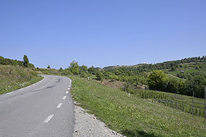 Poienile Izei
