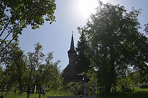 Poienile Izei