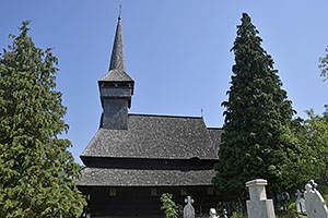 Poienile Izei