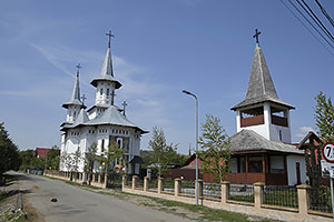 Rogoz