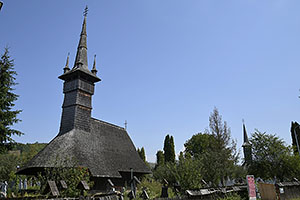 Rogoz