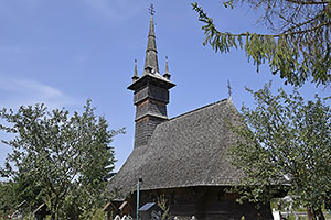 Rogoz