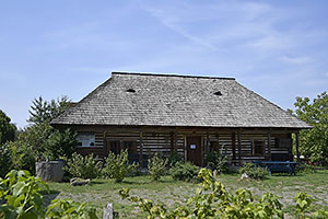 Rogoz